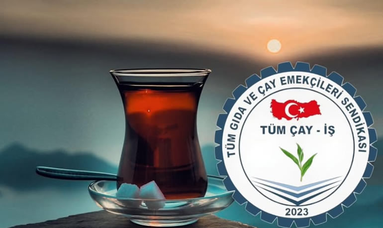 Kültür Festivali Başlıyor!